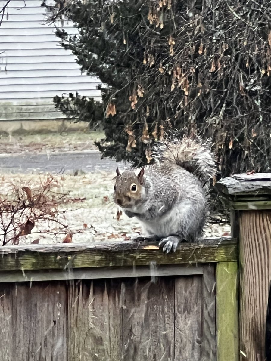 We’re going to apply medical ointments and creams at home, not in public.