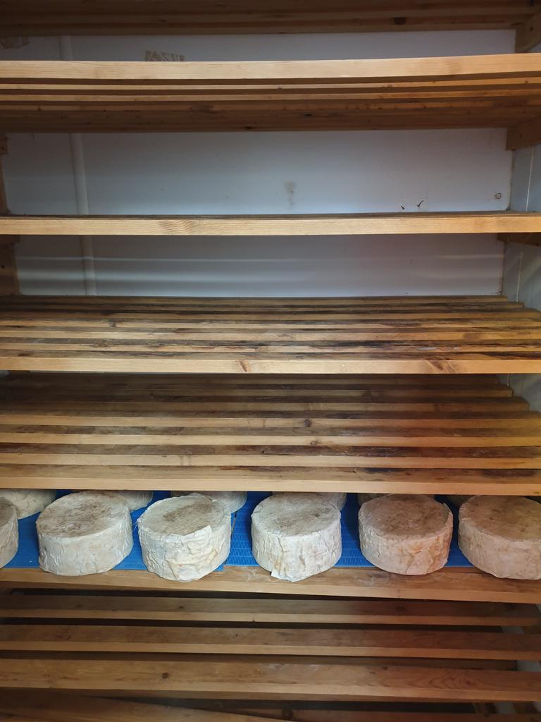 RibblesdaleC's tweet photo. Cleaning out the #GroovyGoat and #GoudaGold maturing room today, ready to put some new ones in.
Blue mats and shelves scrubbed, did not take long to dry.
Am going to put some new #GoudaGolds in to mature, what fun! https://t.co/uXFSw0lvvV