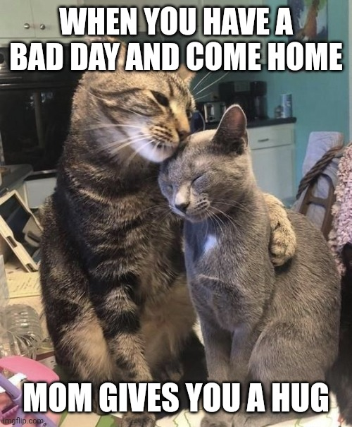 WholesomeMeme's tweet photo. https://t.co/Z5Sq4lXGlt