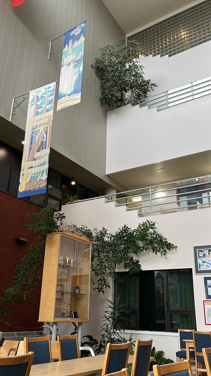 peaceful mornings in the <a href="/MUNBusiness/">MUN Business</a> atrium🪴