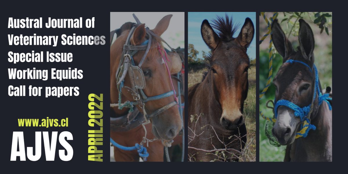 VeterinariaUACh's tweet photo. This special #AJVS issue on #WorkingEquids seeks submission of articles that expand the understanding of horses, donkeys and mules health, husbandry and welfare. Check our website for submission details: https://t.co/QreMe5JS66 https://t.co/4fpxWdwKnD