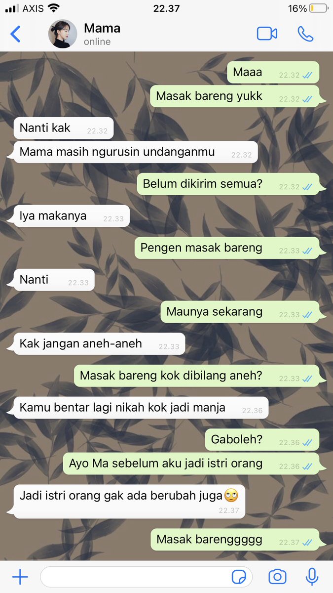 bojak tweet media
