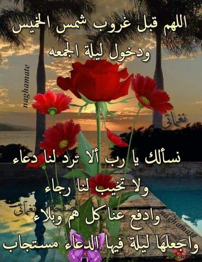 IM48679221's tweet photo. https://t.co/UtHqBRr2mY