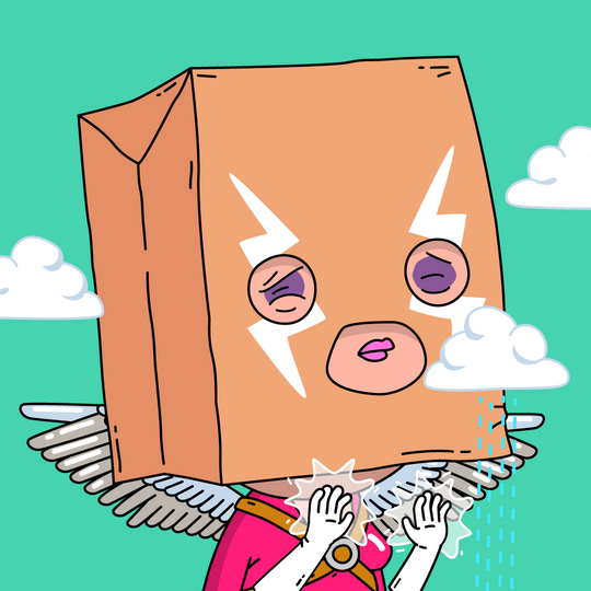 Note to self: Do not attempt to fly with paper bag on head...