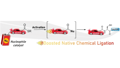 ChemEurJ's tweet photo. Pedal to the metal: The homogeneous catalysis of the native chemical ligation reaction (Agouridas and Melnyk et al.) @Melnyk_Group @PcsDb https://t.co/EjNTmB5XQD https://t.co/Jn1Fck7auV