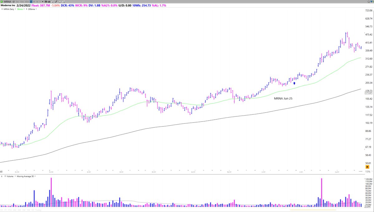  $MRNA Jun 25