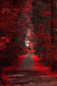 Eianur_Official's tweet photo. The beauty of Nature ๐๐ #ei00
#nature #beauty #photography https://t.co/4CusQzDB6V