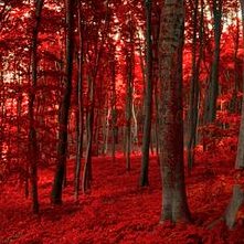 Eianur_Official's tweet photo. The beauty of Nature ๐๐ #ei00
#nature #beauty #photography https://t.co/4CusQzDB6V