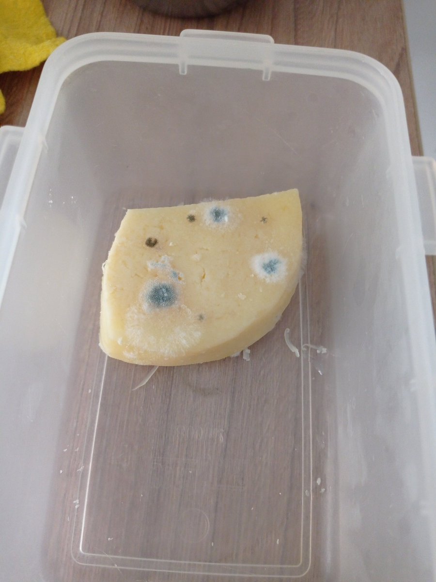 Darwinch_baal's tweet photo. #ECDQEMSD banda este queso... Todavía se puede? https://t.co/3AwYvJ3COV