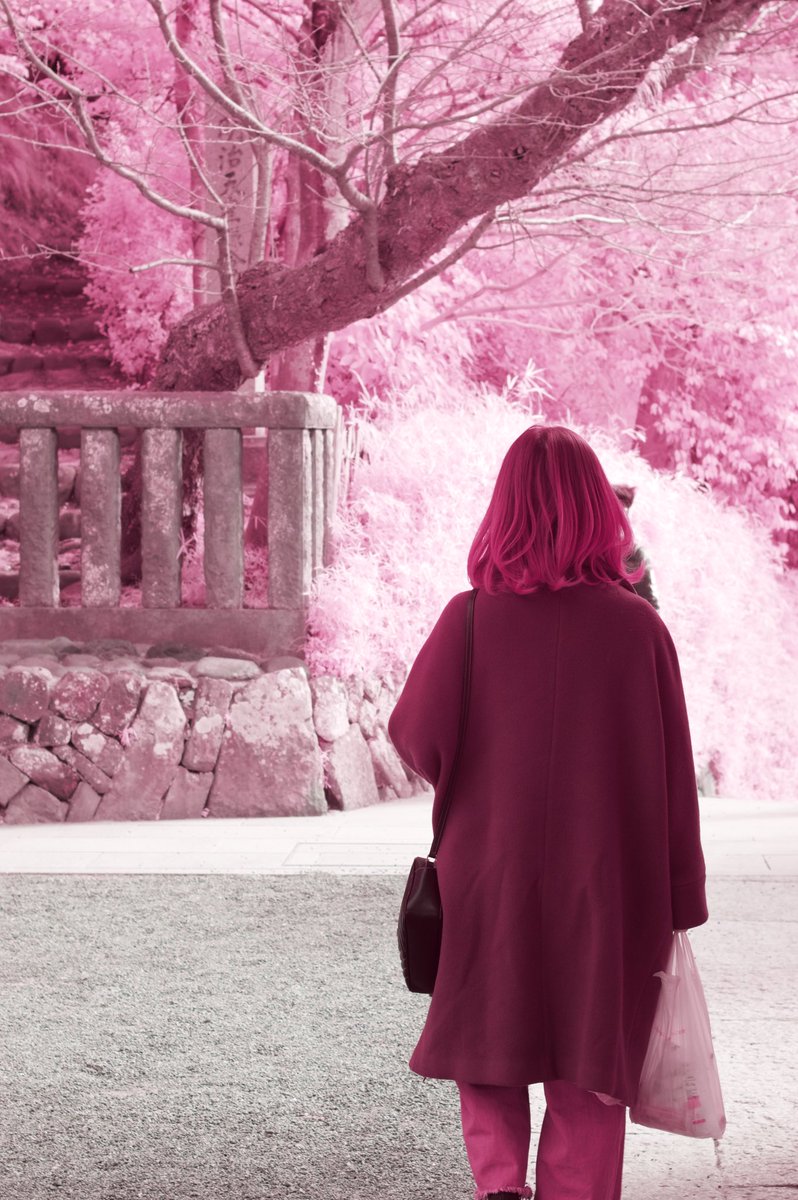 from my favorite infrared camera, with pink grading.