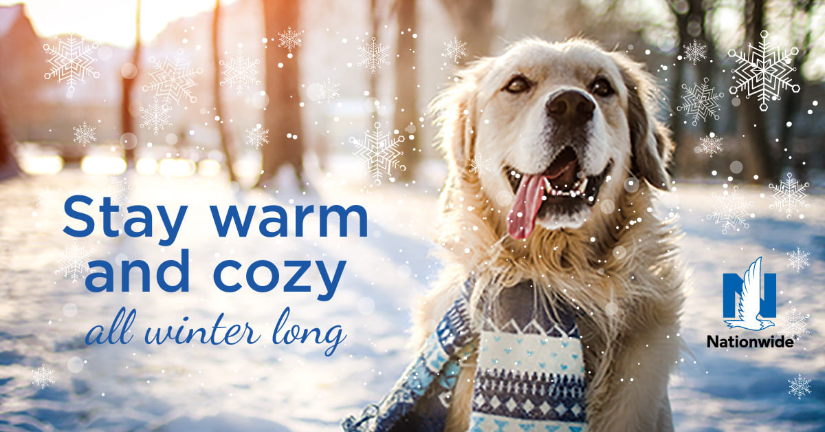 Cold weather can quickly become dangerous for pets.
Keep them safe by keeping them warm. Check out the link below for more tips on how to protect your pet!
bit.ly/393Qnv8
Click the link below to get your free pet insurance quote today!  #petsafety
PetInsurance.com/spotts4insuran…