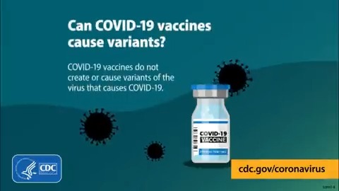 Image for the Tweet beginning: #COVID19 vaccines do not create