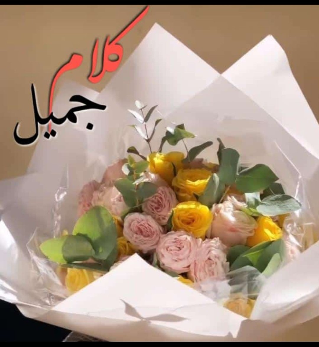 5G_SALEH's tweet photo. @sarh123k اي والله من اخطر الفيروسات 

"

قواعد السعادة :
كٌن مع الله،
لا تحسد أحدا ولا تحقد،
عش ببساطة مهما علا شأنك،
توقع خيرا مهما كثر البلاء،
تعلم العطاء بلا منن ولا انتظار الرد…فراشةقلب أبيض https://t.co/J6TbmTFQHT