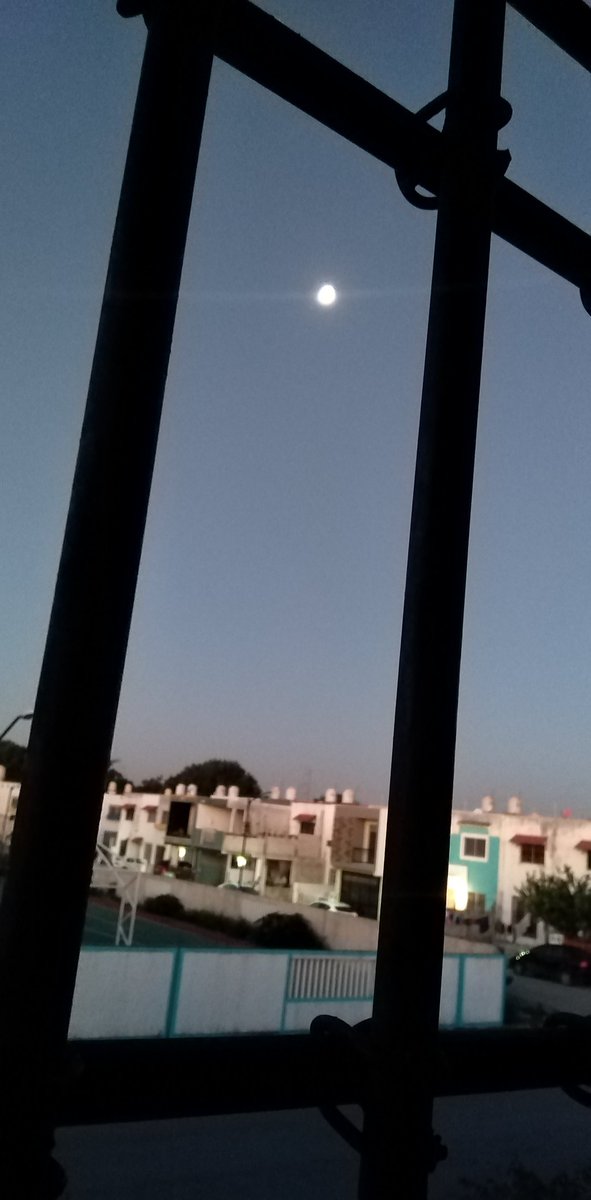 Adoro este espectáculo al amanecer