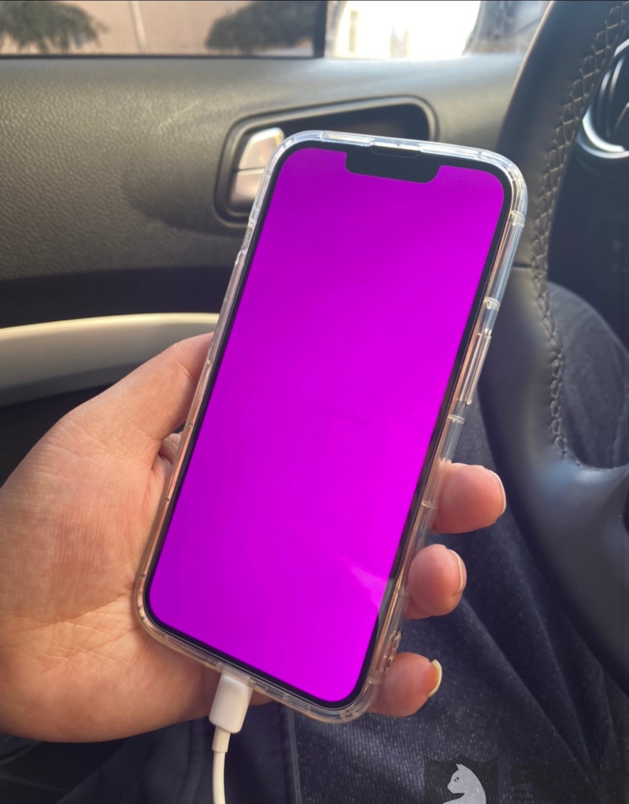 Abhishek Yadav Iphone 13 Having Pink Screen Issue In China Apple Iphone Iphone13 Appleevent T Co Fumskhwtzf Twitter