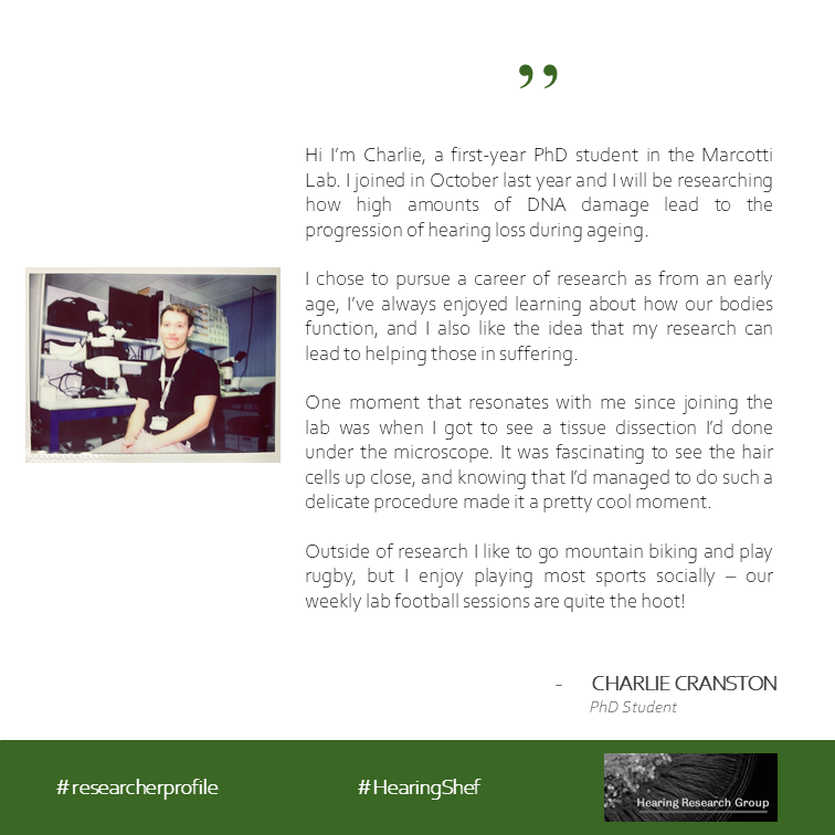 HearingShef's tweet photo. For this weeks #MeetHearingShef it is Charlie, a first year PhD student in the Marcotti lab
#researcherprofile
#HearingShef https://t.co/RyYGAeXsdb