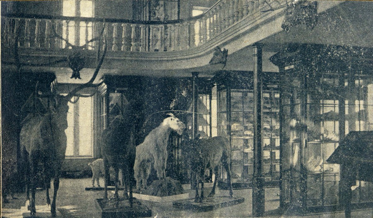 albioncollege's tweet photo. #TBT to the “Cabinet,” a museum in Robinson Hall that contained over 1000 artifacts. The Cabinet was and used as a teaching tool from 1867 until 1922, when Robinson Hall was destroyed by a fire. #MyAlbion #CreatingWithCourage #ThrowbackThursday https://t.co/NKNGDCQD0O