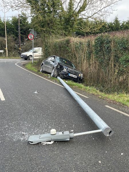 Everything Epping Forest tweet media