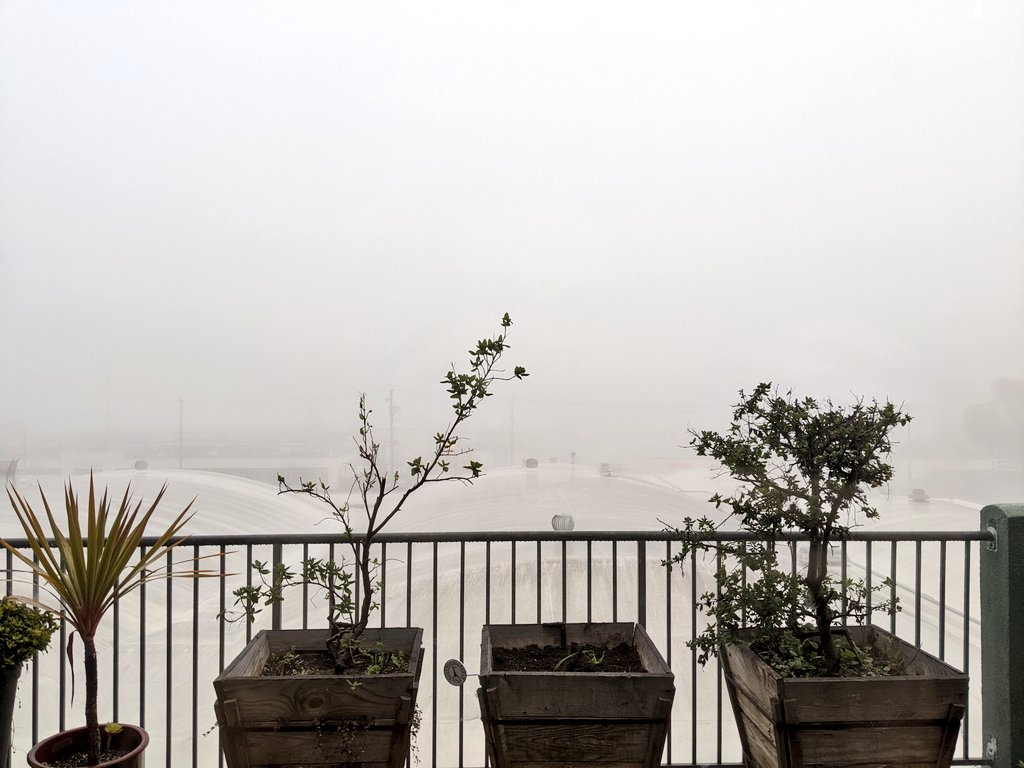 So glad you're back, <a href="/RollOverEasy/">Roll Over Easy</a>! Beautiful view this morning 😅