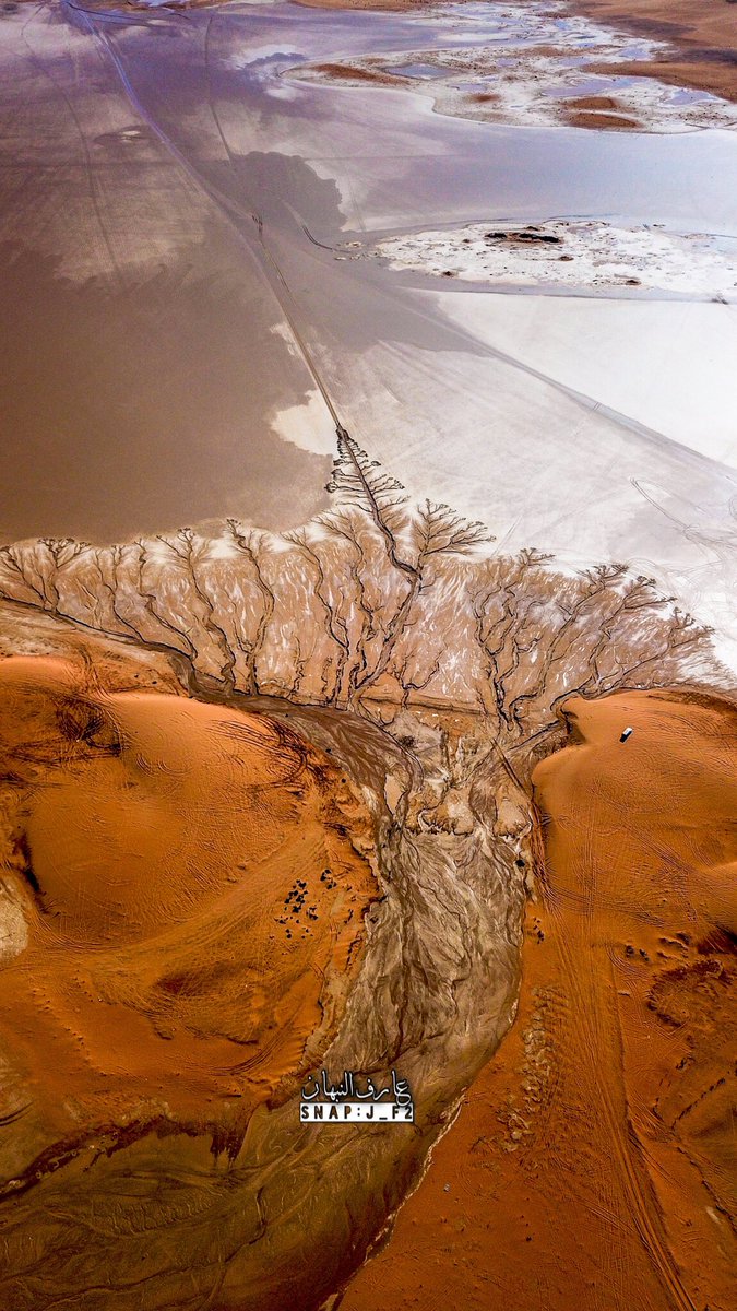 سبحان الخالق هذا اثر السيل يرسم شجرة سبحان الله وكانه رسمه من #تصويري