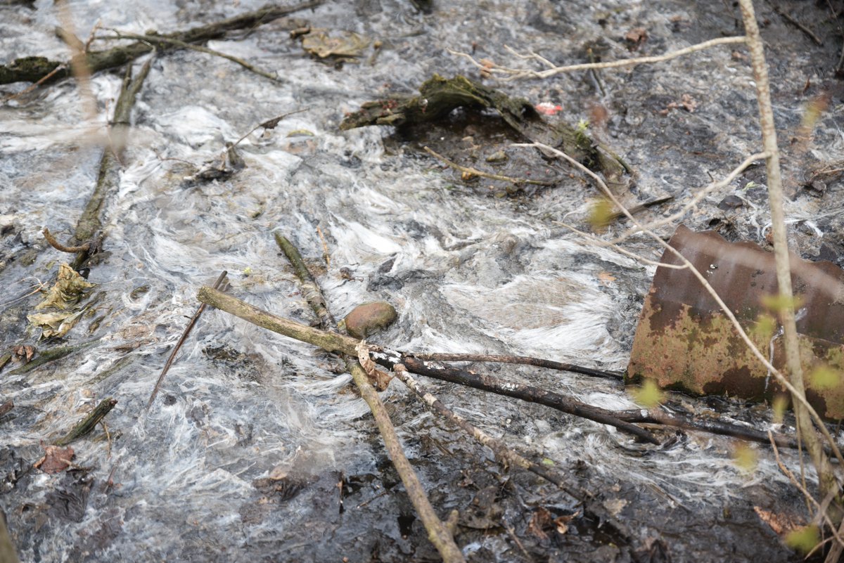 Lester Graham tweet media