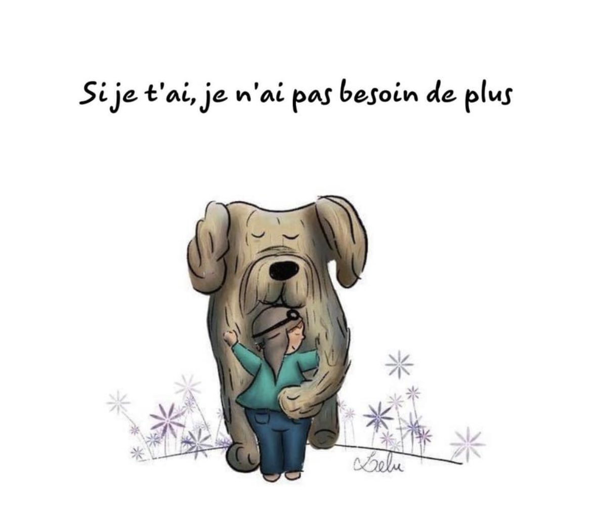 ChevauxUrgence's tweet photo. #Caesario #Bloucka #Duffy #tresor #Carino #tresor #lena #Kaweka #ralph #bouda #perle #dana #houps #max #nelson #lisie #dana #khellen #angel #radja #yo #urielle #noelle #nina https://t.co/yw77tGDFJ3