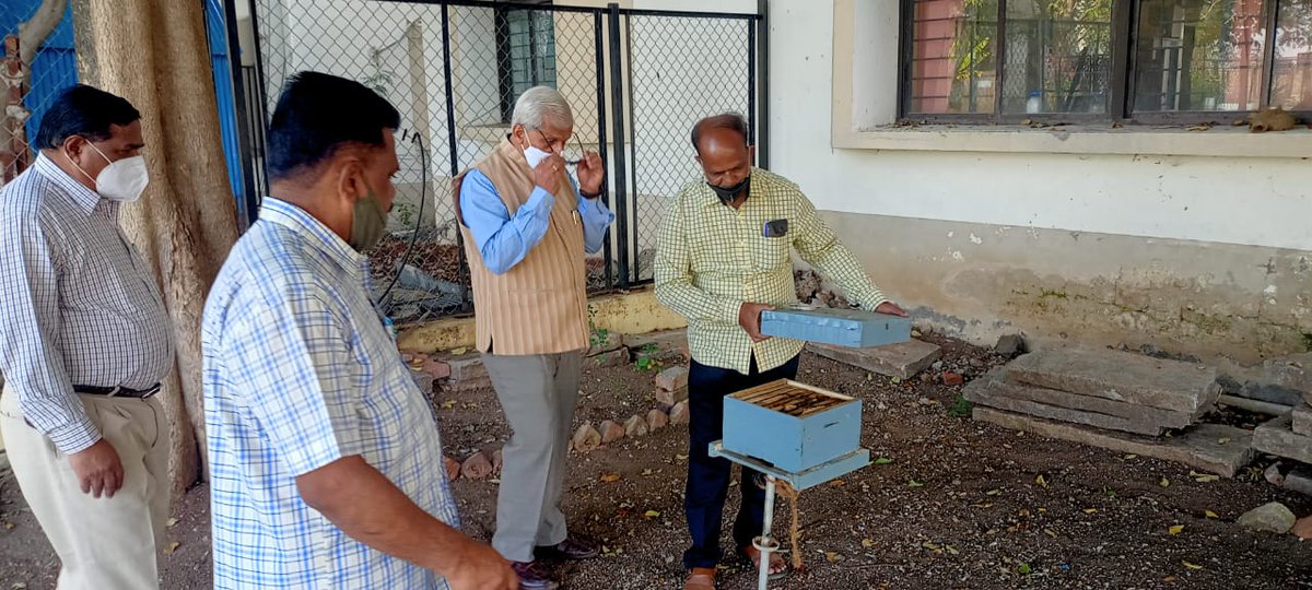 UASDharwad_05's tweet photo. Director of Research, @UASDharwad_05, Dr PL Patil visits #InsectBiodiversityPark est at #VijayapurCampus under @icarindia @IcarNahep IDP project #GreenInitiative...@WorldBank @rakesh_chandra..Dr Patil appreciated the efforts &amp; acknowledged the support from #IDP project. https://t.co/580oykGgOW