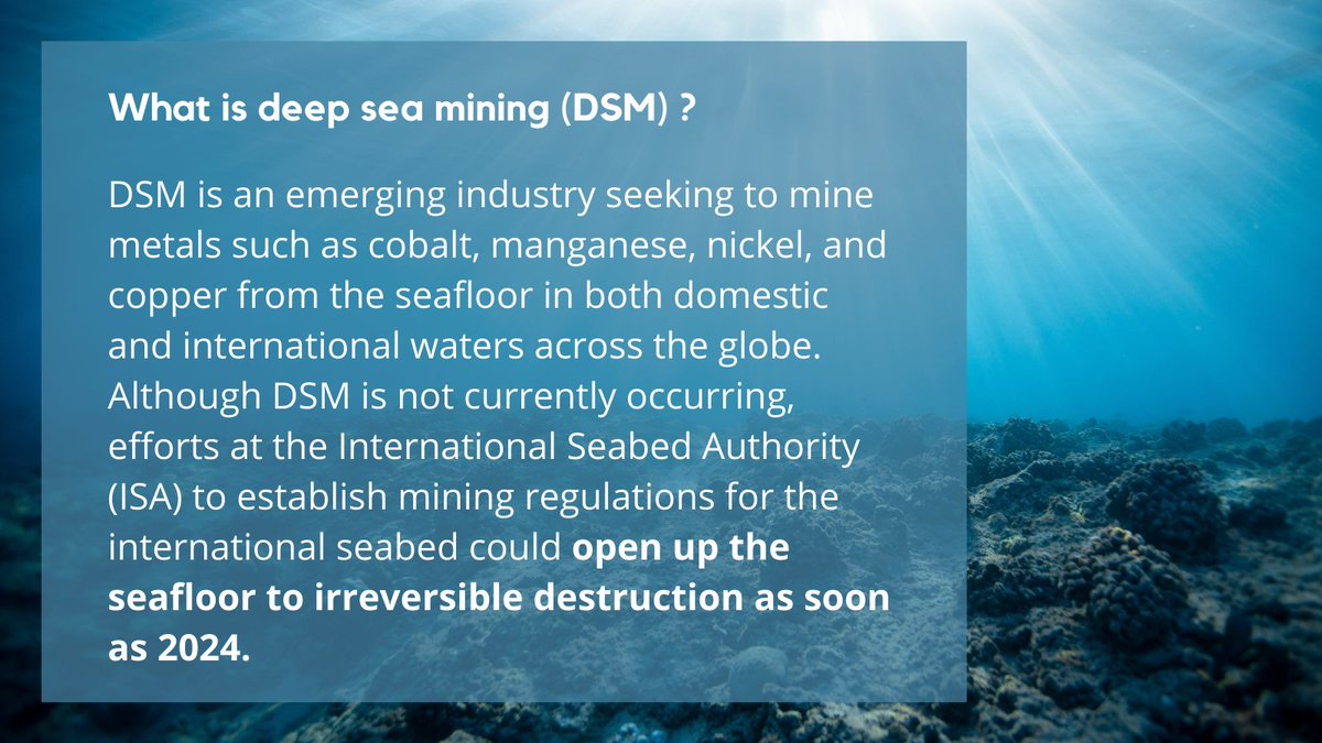 MiningWatch's tweet image. TODAY: Canadians ask Federal Government to Support Moratorium on Deep Seabed Mining | #DefendTheDeep #KeepItInTheDeep | News release 👉🏽 bit.ly/3GOvP8j