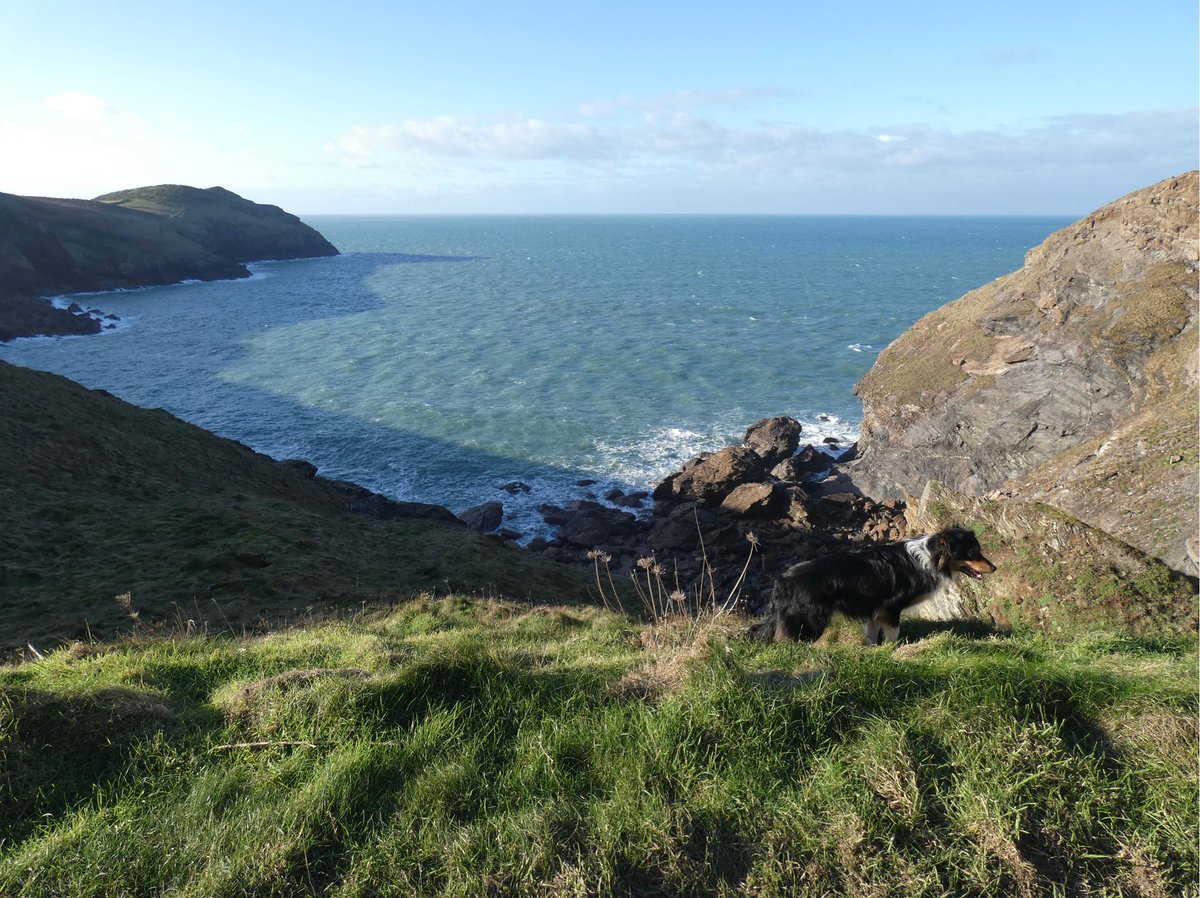 CliffsideKatie's tweet photo. Much needed breath of fresh. Things are always better when you get outside #southwestcoastpath #Downgate https://t.co/j5TpzvKqSW
