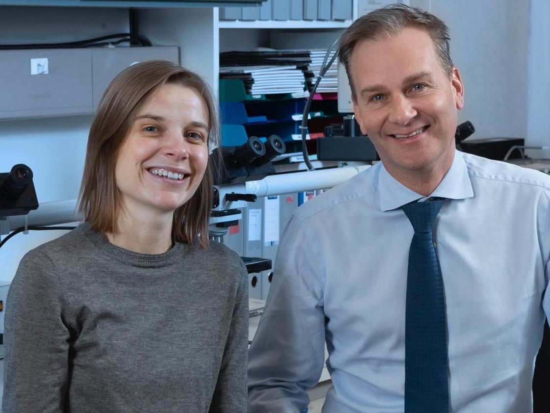 Faculté de biologie et de médecine (inactif) (@fbm_unil) on Twitter photo Les mécanismes de l'hyper-inflammation du #COVID19 dévoilés
➡️news.unil.ch/display/164267…
<a href="/CHUVLausanne/">CHUV / Centre hospitalier universitaire vaudois</a> <a href="/EPFL/">EPFL</a> <a href="/FBM_UNIL/">Faculté de biologie et de médecine (inactif)</a> <a href="/unil/">Université de Lausanne</a>
<a href="/nrp78_covid19/">NRP78 Covid-19</a> <a href="/fns_ch/">Fonds National Suisse</a> <a href="/Nature/">nature</a> Les mécanismes de l'hyper-inflammation du #COVID19 dévoilés
➡️news.unil.ch/display/164267…
<a href="/CHUVLausanne/">CHUV / Centre hospitalier universitaire vaudois</a> <a href="/EPFL/">EPFL</a> <a href="/FBM_UNIL/">Faculté de biologie et de médecine (inactif)</a> <a href="/unil/">Université de Lausanne</a>
<a href="/nrp78_covid19/">NRP78 Covid-19</a> <a href="/fns_ch/">Fonds National Suisse</a> <a href="/Nature/">nature</a>