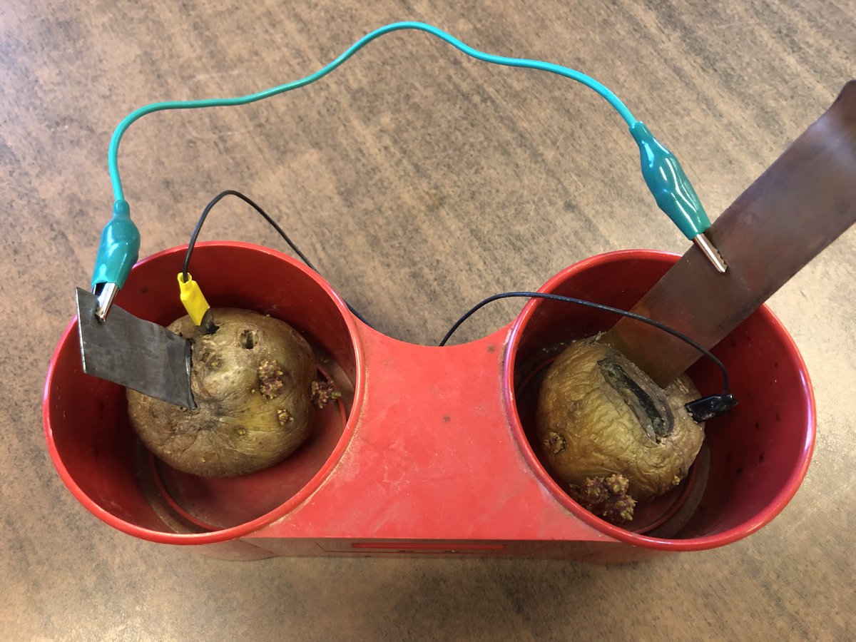 Mr_ZZZ_Wood's tweet photo. The potato clock that has been running for 4 months...it's not pretty, but 4 months of power on 5¢ is not bad.
#iteachphysics #FunPhysics https://t.co/eiFbQPCZ30
