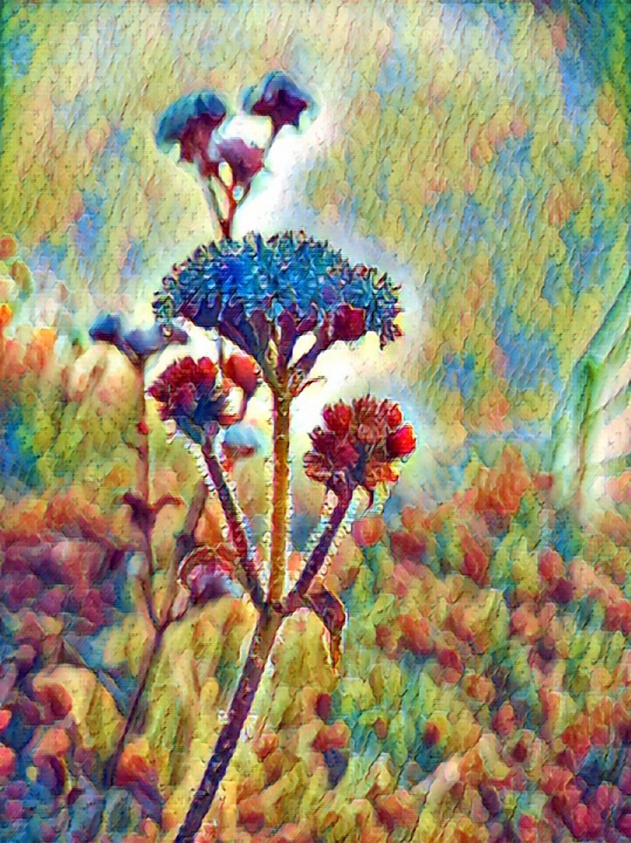 MarkRanger16's tweet photo. @DropYourNFT The wild flower
https://t.co/eUQTe8GzFI https://t.co/mL7t3YpaLP