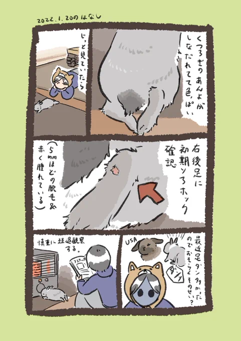 日付け変わって昨日のrabbit…
#うさぎのいる生活 