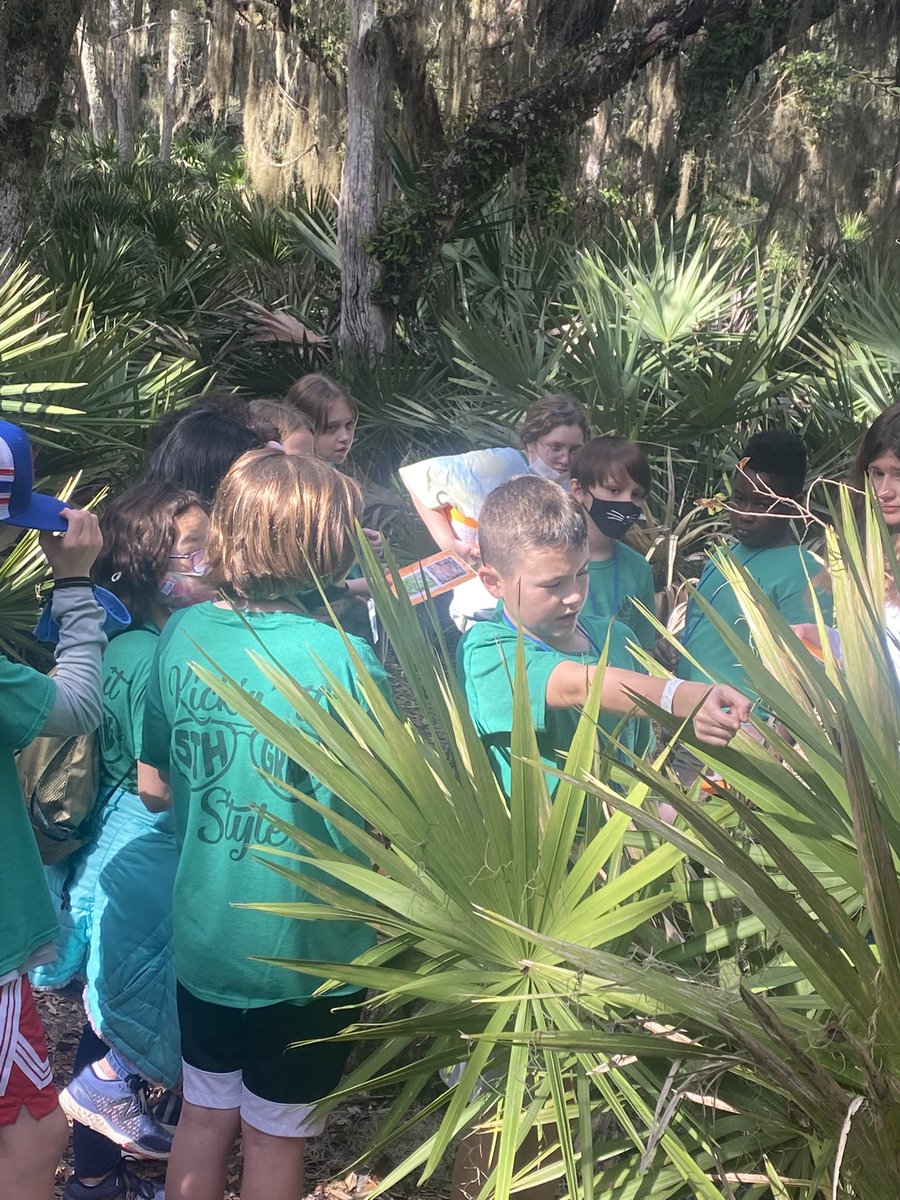 NikkiMaples1's tweet photo. Forest walking with SEA STARS!! #RNEJekyll22 #rnegreatthings https://t.co/FWp93dJ4fD