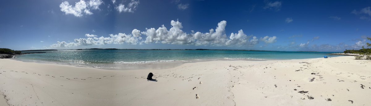 Taking a few extra days for myself after volunteering at <a href="/BahamasKFTour/">Bahamas Korn Ferry Tour</a> . I found a nice private beach!