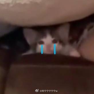 bediebcroll's tweet photo. 怎么突然这么多人关注我，好惊） https://t.co/QWYtqvufQo