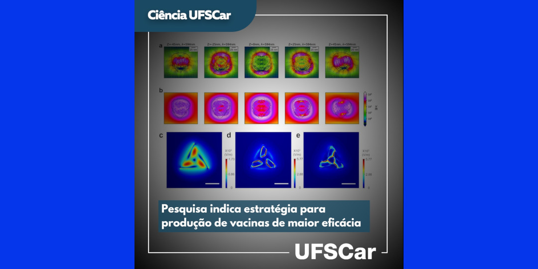cienciaufscar's tweet photo. Publicado na @Nature , artigo com participação de cientistas da @ufscaroficial mostra que a atenção a um atributo geométrico de nanopartículas usadas como adjuvantes em vacinas, a quiralidade, pode resultar em imunizantes mais eficazes. Saiba mais em: https://t.co/vfdijM1Qcr https://t.co/dDyvrPpU9c