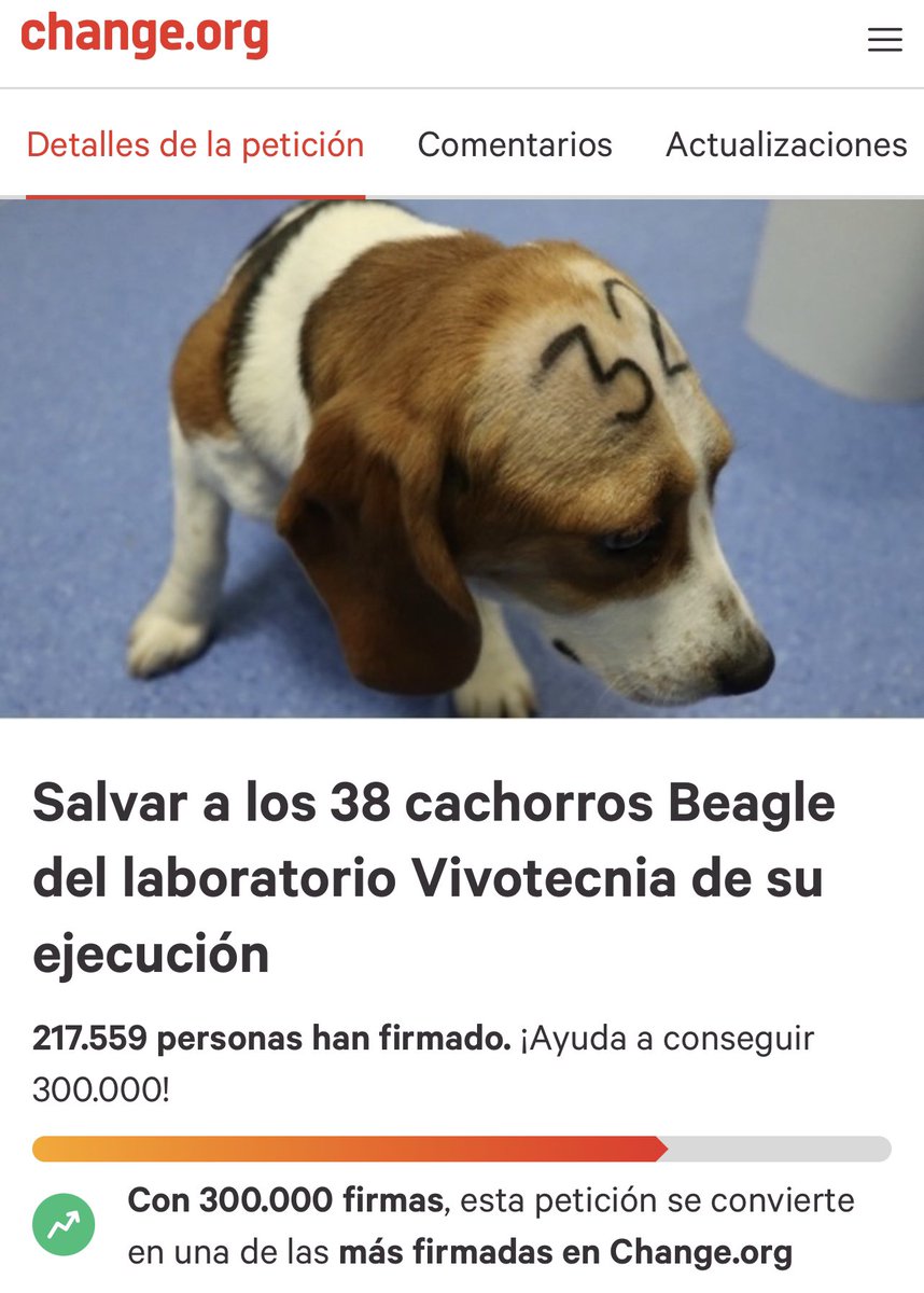 ¡Necesitamos tu ayuda para liberar a estos pobres Beagles indefensos!

chng.it/BVmypxw4W9
La manifestación es el sábado 22 Plç. St. Jaume 12h