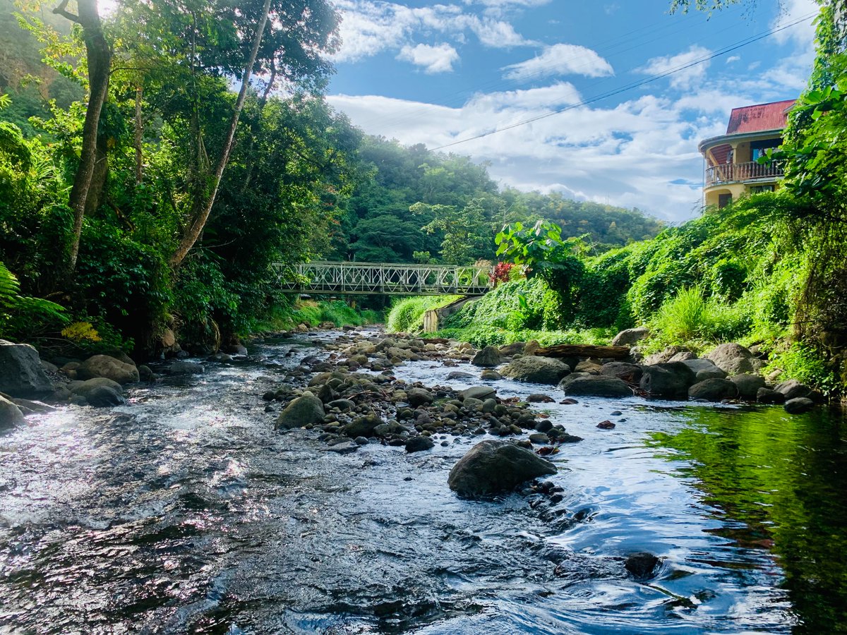 AliKentish's tweet photo. After losing my aunt to stomach cancer, learning that my youngest aunt has advanced cancer, then losing my granny to a post-surgery blood clot after a freak fall, I could not write for 3 months. I've been finding healing in nature. Hope my 🇩🇲 pics bring someone else some light! https://t.co/ws83SHIZ3c