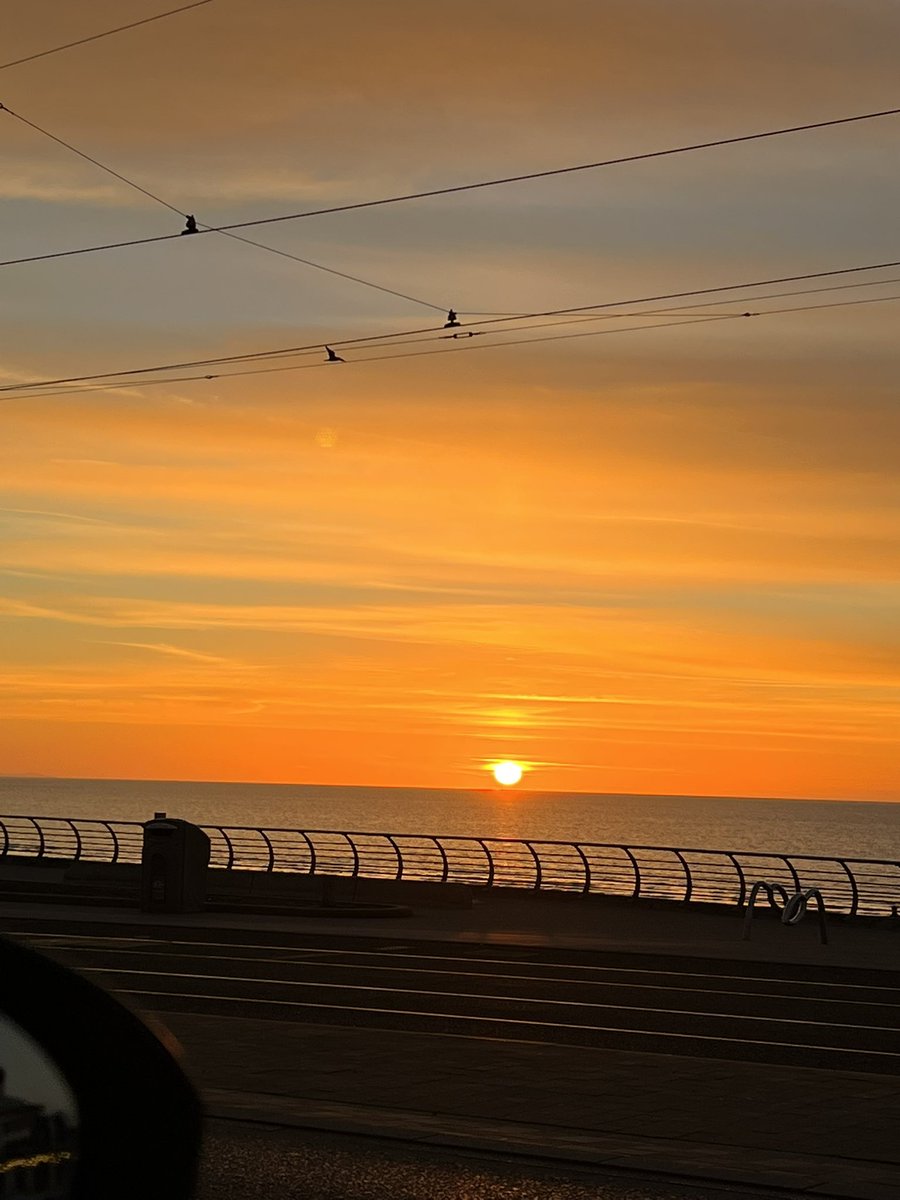 Artoshi | Bitcoin Artist tweet media