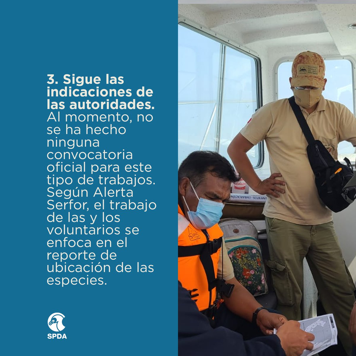 spdaorg's tweet photo. 🚨#DerrameRepsol | #ATENCIÓN | Si ves un animal afectado por el derrame de petróleo en Ventanilla, no lo toques y llama a #AlertaSERFOR. 
▶️ Estos son los pasos que debes seguir para ayudarlo 👇 https://t.co/XKNA49Mizj