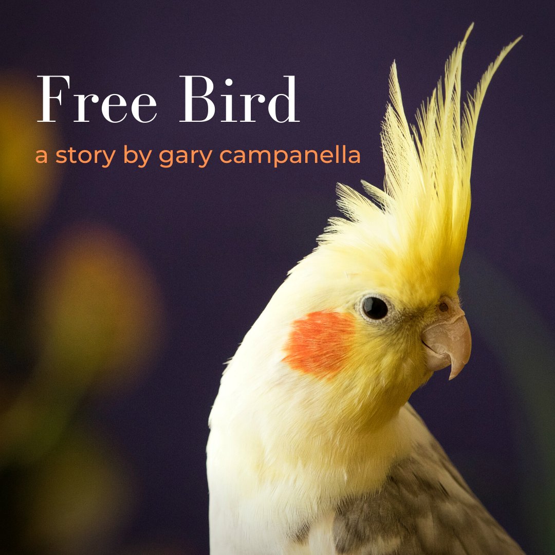 Unfortunately, Literary Magazine tweet media