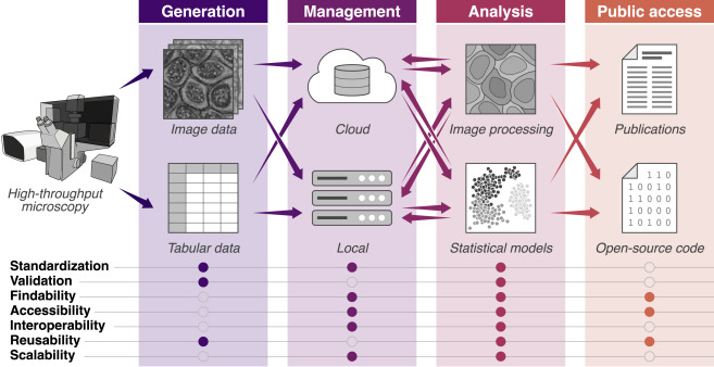 Emma Lundberg (@prof_lundberg) on Twitter photo New commentary article on the future of cell imaging
“The new era of quantitative cell imaging—challenges and opportunities”.
Views from myself, <a href="/DrAnneCarpenter/">Anne Carpenter, PhD</a>, Neda Bagheri, Anne Plant and Rick Horwitz.
sciencedirect.com/science/articl… New commentary article on the future of cell imaging
“The new era of quantitative cell imaging—challenges and opportunities”.
Views from myself, <a href="/DrAnneCarpenter/">Anne Carpenter, PhD</a>, Neda Bagheri, Anne Plant and Rick Horwitz.
sciencedirect.com/science/articl…