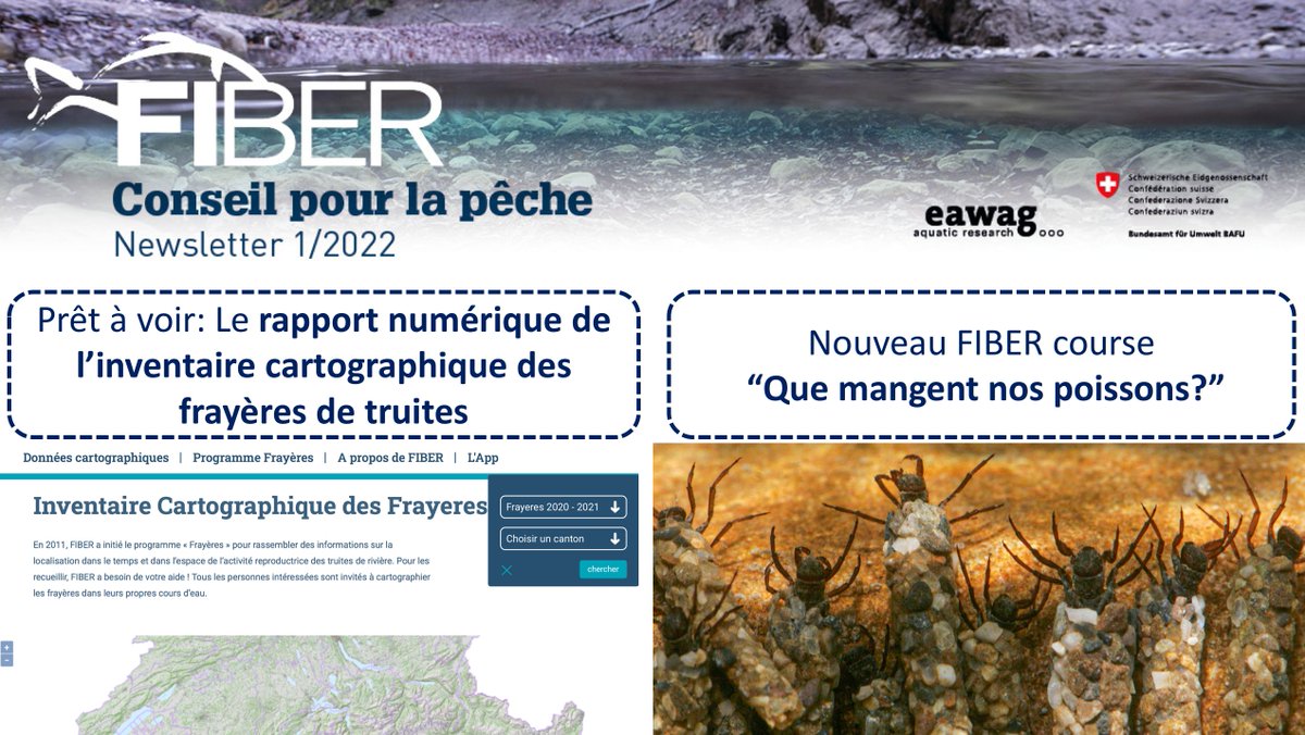 Fischerei_FIBER's tweet photo. La première FIBER newsletter de 2022 est accompagnée de deux grandes nouvelles : Le rapport tant attendu sur la cartographie numérique des frayères et le nouveau cours "Tout ce qui rampe et vole : que mangent nos poissons" (course en allemand)
https://t.co/w8iD8NlGpE https://t.co/YsPJiO1Hrb