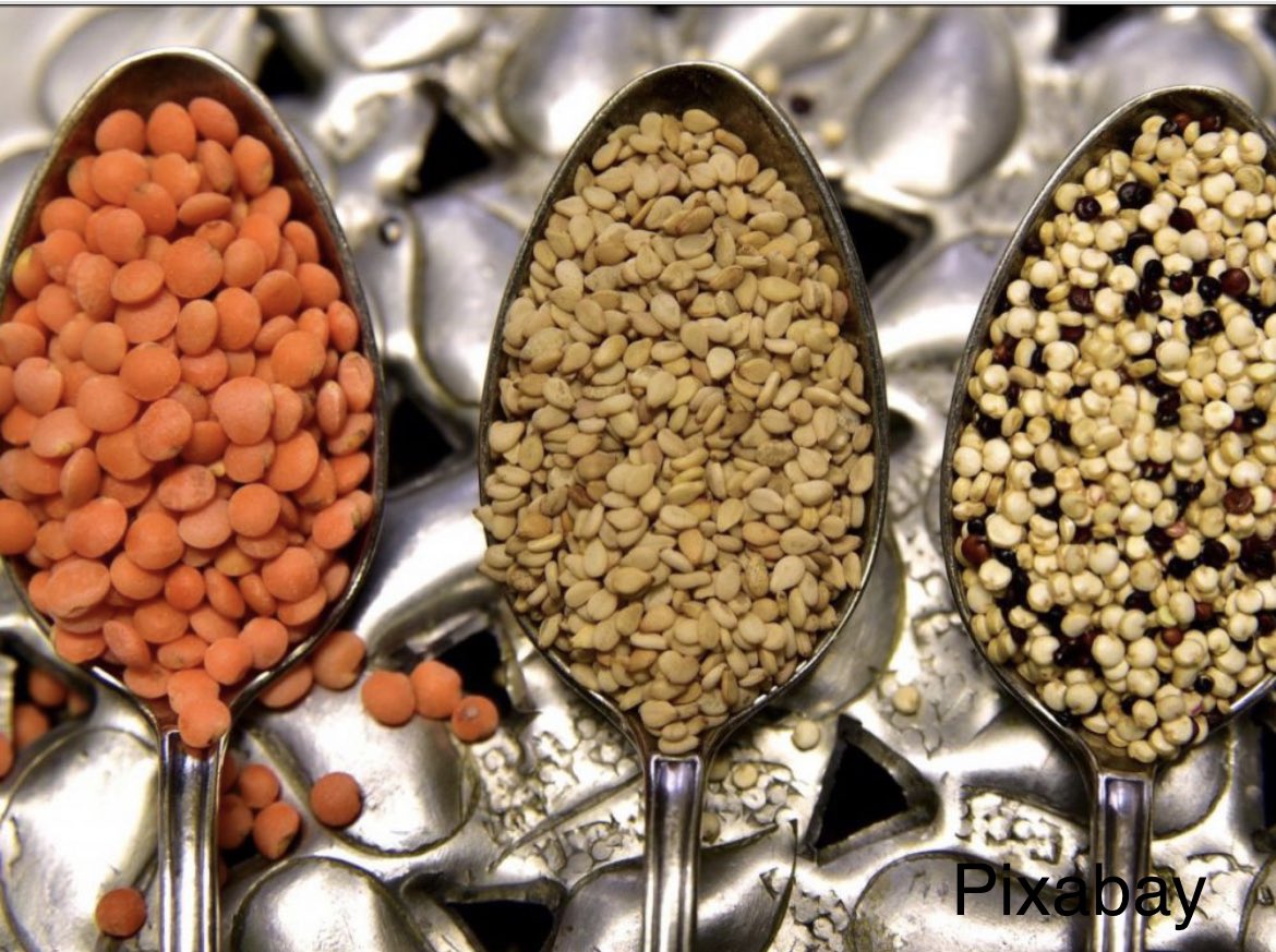 Les #légumineuses sont pour les organismes agronomiques LA solution pour réduire la consommation de viande🌱En plus sur leurs racines vivent des bactéries qui fixent l'azote de l'air et enrichissent les sols, réduisant les besoins en engrais chimiques🌱🌱
sciencesetavenir.fr/nutrition/alim…