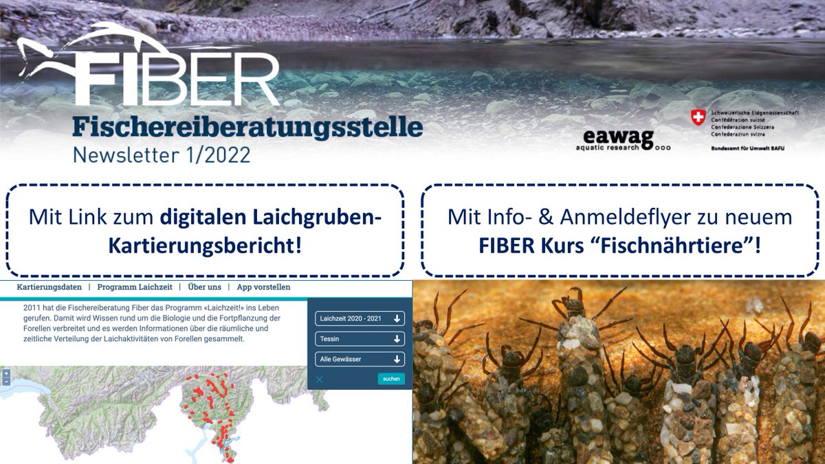 Fischerei_FIBER's tweet photo. Der erste Newsletter im Jahr 2022 kommt mit zwei grossen Neuigkeiten auf: Dem langersehnten digitalen Laichgruben-Kartierungsbericht und dem neuen Kurs "Fischnährtiere – Es kreucht und fleucht".
https://t.co/VLqBSMFDsh https://t.co/EJzTOkqxlg