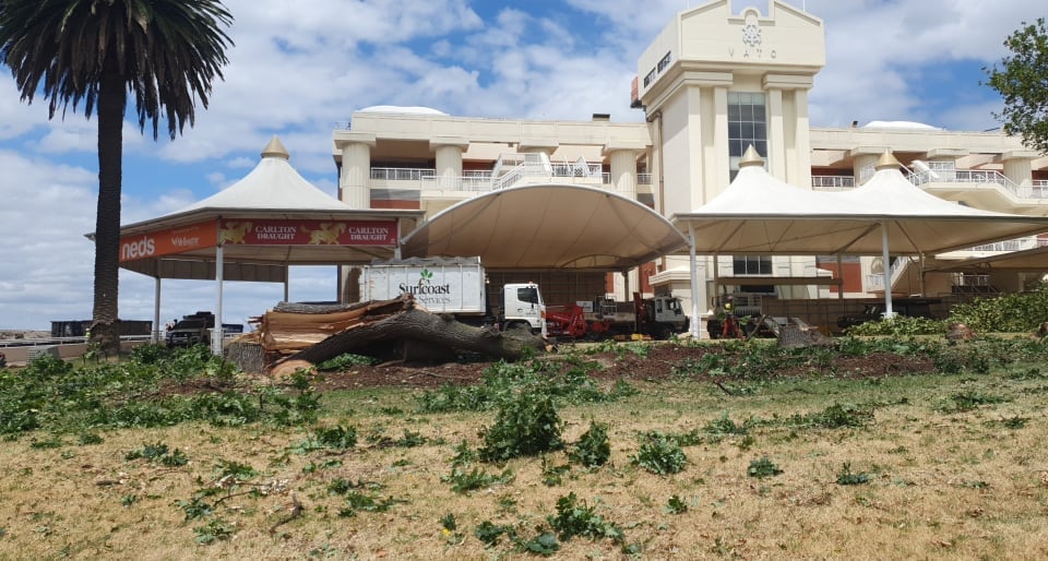 Turf Deli tweet media