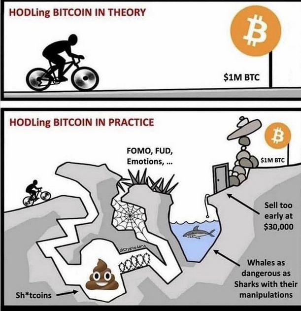 K.O Kryptowaluty tweet media