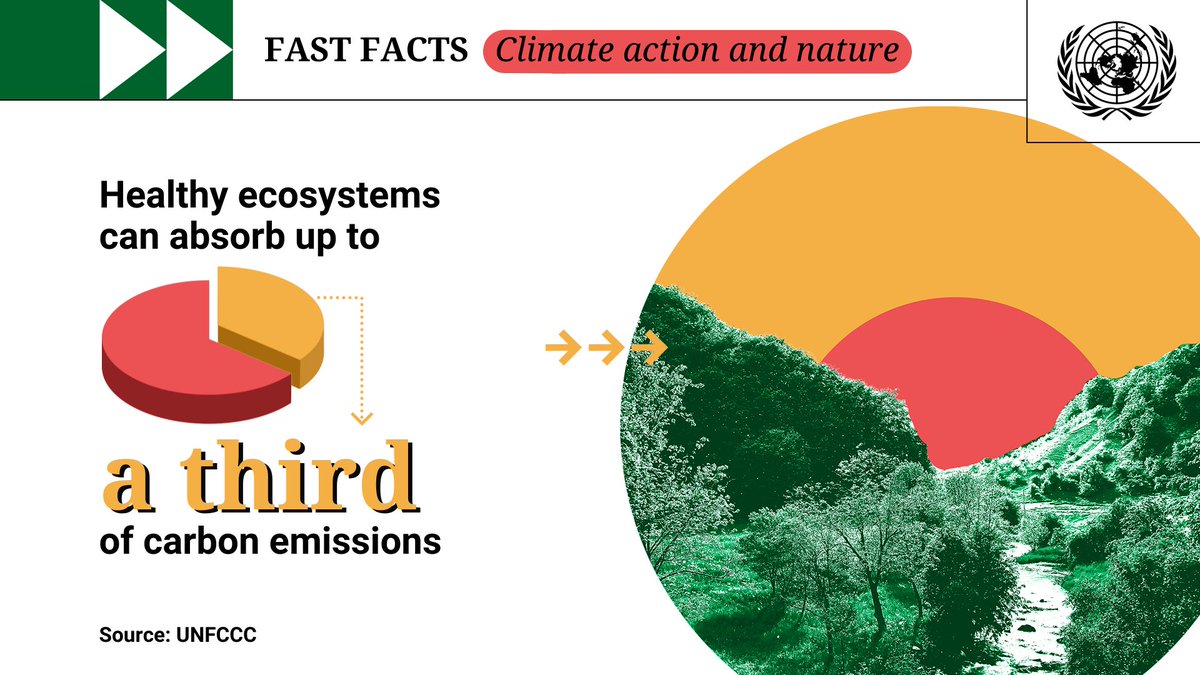 We share this planet with millions of other species. 🌏

We have a responsibility to protect it — for other species, and for ourselves.

Healthy ecosystems and #biodiversity underpin human lives, livelihoods and well-being, as well as our ability to address the #ClimateCrisis.