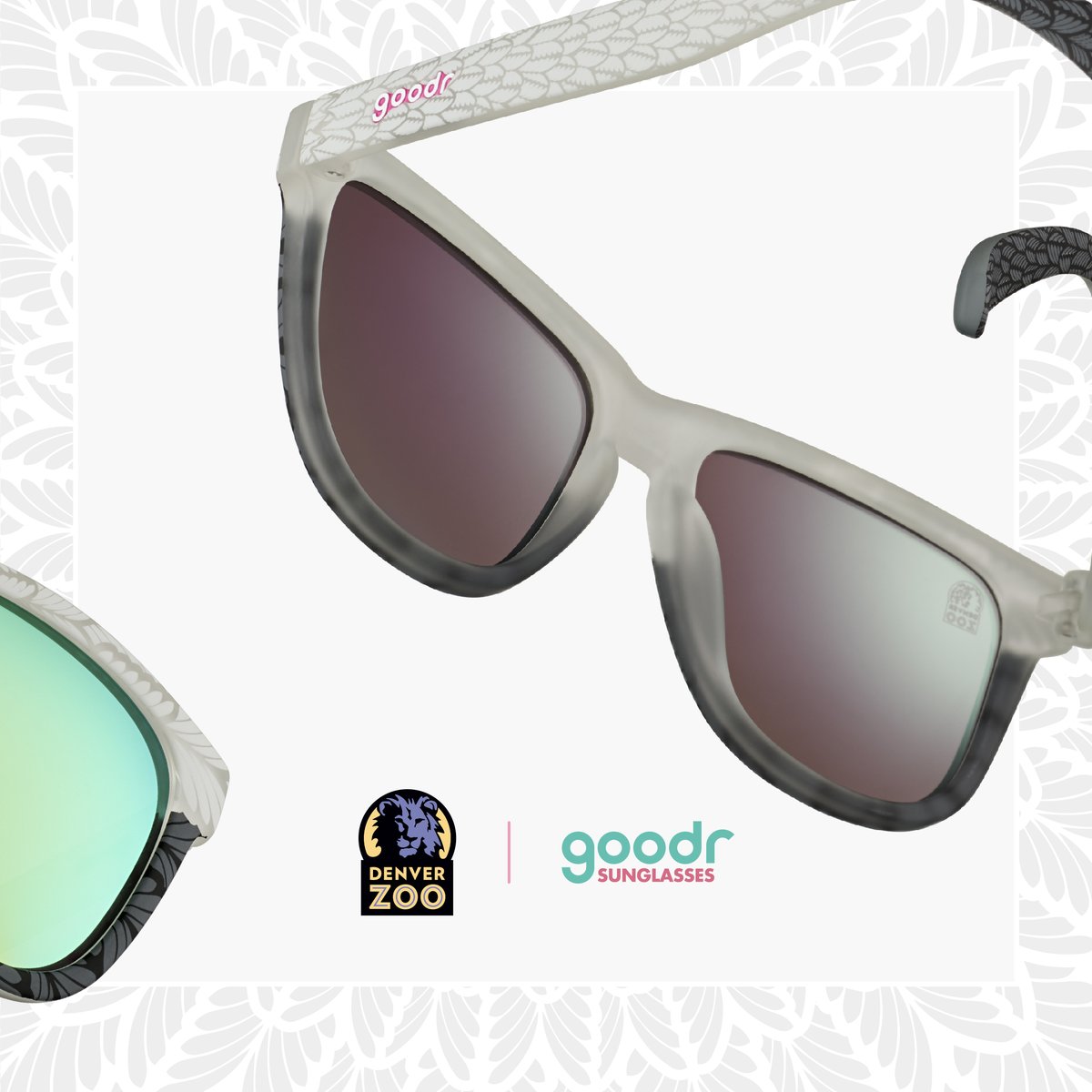 Don’t forget to snag a pair of sytlin’ new penguin-themed sunglasses from our friends @goodr. ALL I DO IS PENGUIN WIN WIN WIN are the smart new sunnies that do our penguin flock proud. Looking good while also supporting DZ? Sounds like a guin-win to us! goodr.com/products/all-i…